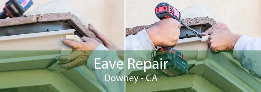 Eave Repair Downey - CA