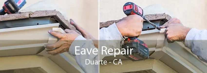 Eave Repair Duarte - CA