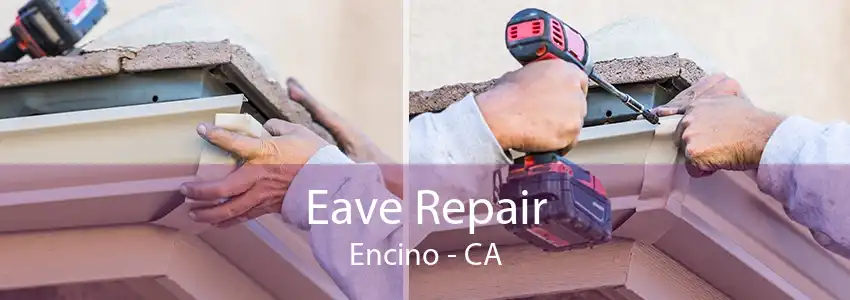 Eave Repair Encino - CA