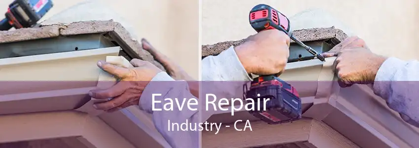 Eave Repair Industry - CA