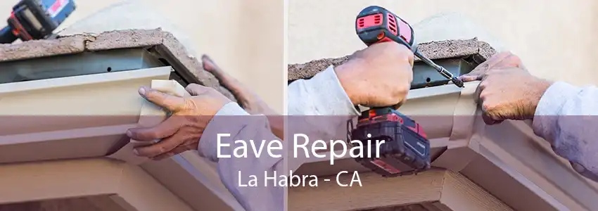 Eave Repair La Habra - CA