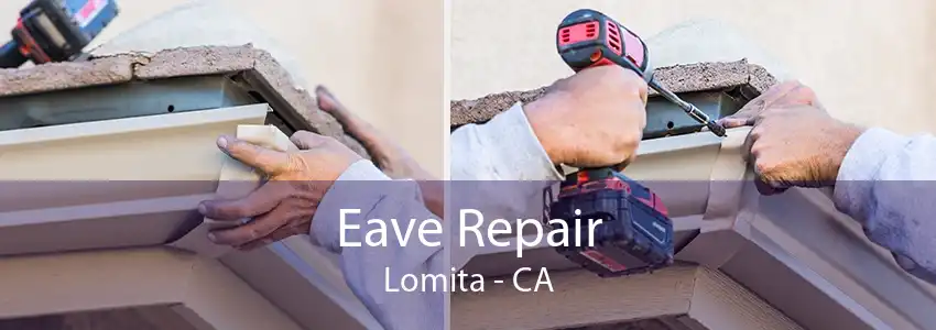 Eave Repair Lomita - CA