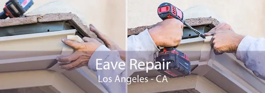 Eave Repair Los Angeles - CA
