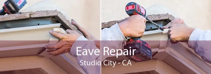 Eave Repair Studio City - CA